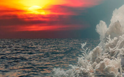 Mar em Ácido, Céu em Chamas: A Crise Invisível que Atinge a Todos