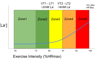 A Intensidade em Zona 2 e Suas Implicações nas Adaptações Periféricas e Centrais no Atleta de Endurance