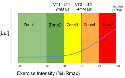 A Intensidade em Zona 2 e Suas Implicações nas Adaptações Periféricas e Centrais no Atleta de Endurance
