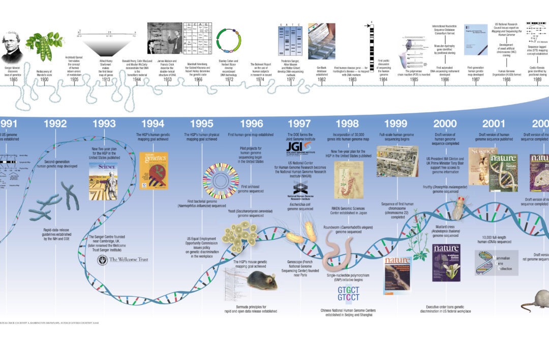 Desempenho aeróbico está escrito no genoma, e em humanos, apesar de herdado, apresenta plasticidade que revela harmonia de alta complexidade
