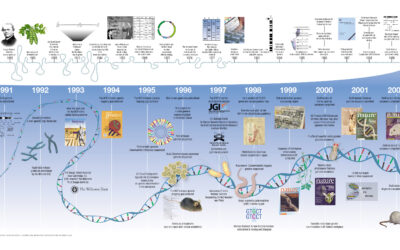 Desempenho aeróbico está escrito no genoma, e em humanos, apesar de herdado, apresenta plasticidade que revela harmonia de alta complexidade