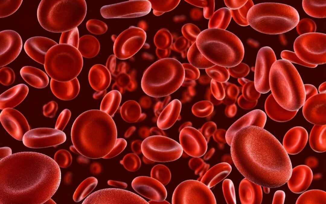 NATURAL E FORJADO: O SANGUE COMO CRONISTA DO ENDURANCE