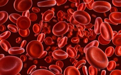 NATURAL E FORJADO: O SANGUE COMO CRONISTA DO ENDURANCE