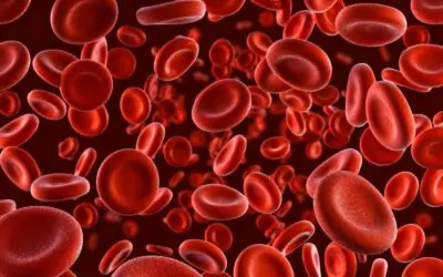NATURAL E FORJADO: O SANGUE COMO CRONISTA DO ENDURANCE