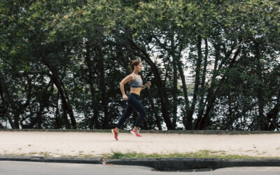 DO OCEANO INTERIOR AO RITMO DO MOVIMENTO: A CONSTRUÇÃO EVOLUTIVA E FUNCIONAL DA MICROCIRCULAÇÃO HUMANA