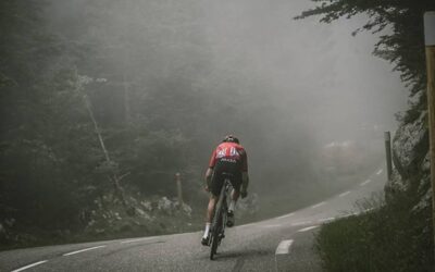 A Memória do Fluxo: Exercício, Plasticidade Vascular e a Arquitetura Viva da Performance Humana