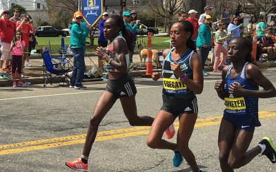 SÓDIO, HOMEOSTASE E DESEMPENHO HUMANO: UMA REVISÃO INTEGRATIVA DOS FUNDAMENTOS EVOLUTIVOS, FISIOLÓGICOS, VASCULARES E APLICADOS AO EXERCÍCIO DE ENDURANCE