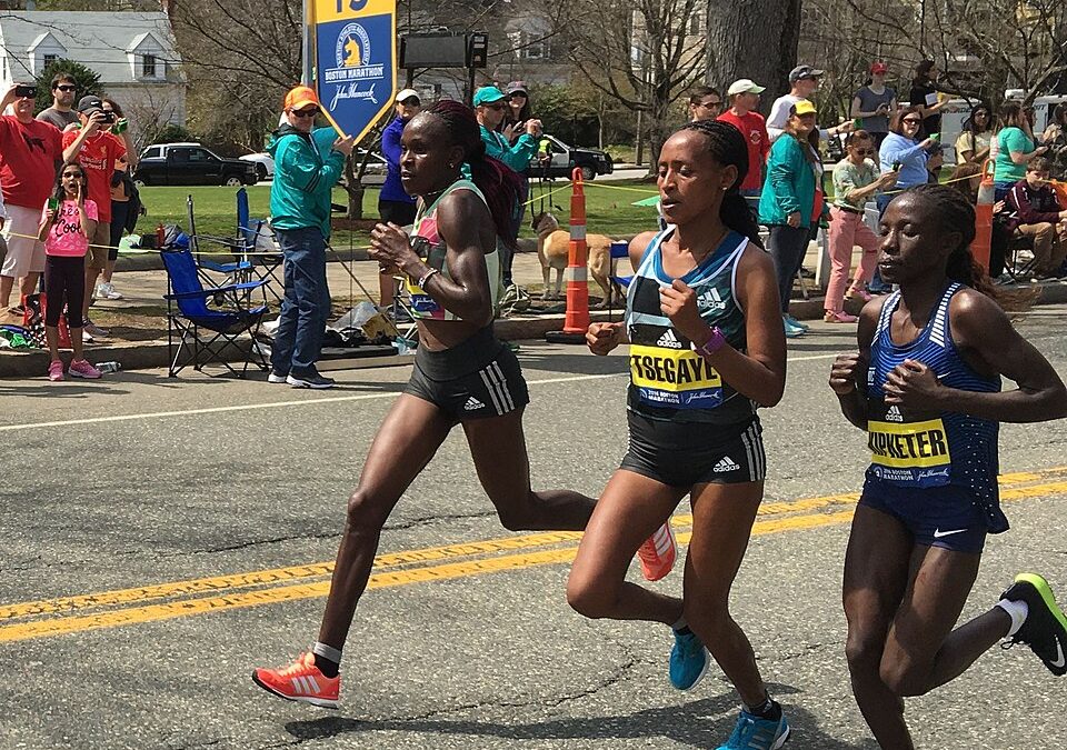 SÓDIO, HOMEOSTASE E DESEMPENHO HUMANO: UMA REVISÃO INTEGRATIVA DOS FUNDAMENTOS EVOLUTIVOS, FISIOLÓGICOS, VASCULARES E APLICADOS AO EXERCÍCIO DE ENDURANCE