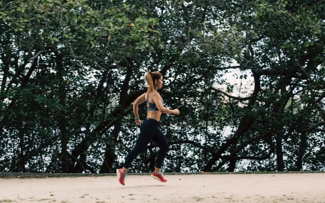 O endotélio treinável: intensidades do exercício, forças hemodinâmicas e o limiar entre adaptação e disfunção vascular no alto rendimento