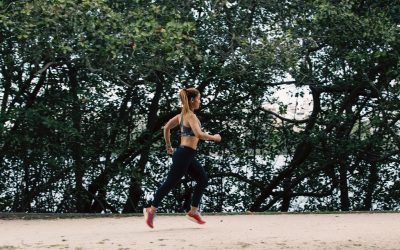 O endotélio treinável: intensidades do exercício, forças hemodinâmicas e o limiar entre adaptação e disfunção vascular no alto rendimento