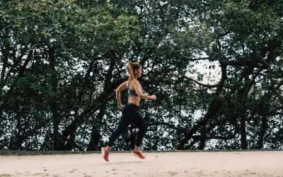 O endotélio treinável: intensidades do exercício, forças hemodinâmicas e o limiar entre adaptação e disfunção vascular no alto rendimento