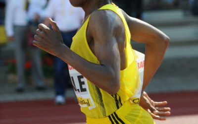 Persistir para sobreviver, regular para durar: a evolução biológica do endurance humano entre economia energética, termorregulação, controle neural e limites sistêmicos do desempenho