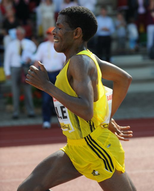 Persistir para sobreviver, regular para durar: a evolução biológica do endurance humano entre economia energética, termorregulação, controle neural e limites sistêmicos do desempenho