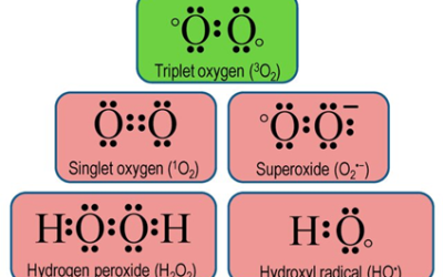 Espécies reativas de oxigênio como força seletiva: regulação transcricional, evolução molecular e a arquitetura ancestral da adaptação redox