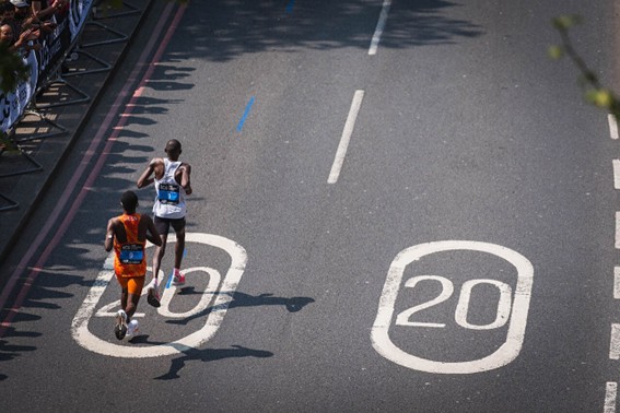 Entre Grânulos, Membranas e Milhões de Anos: a Evolução do Glicogênio, sua Arquitetura Intracelular e o Controle Integrado do Desempenho Metabólico no Endurance