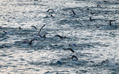 Oxigênio, ROS e Treinamento de Endurance: do Paradoxo Bioquímico à Homeostase Hormética