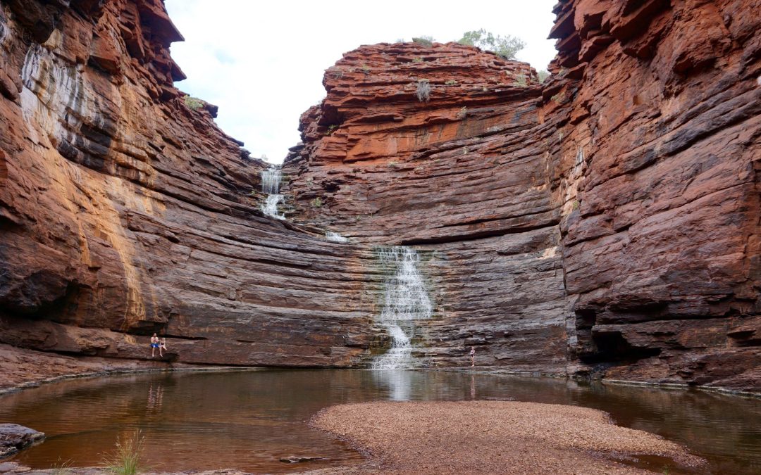 Entre o fogo inevitável da vida aeróbia e o sinal que constrói: espécies reativas de oxigênio, exercício de endurance e a lógica redox da adaptação muscular