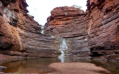 Entre o fogo inevitável da vida aeróbia e o sinal que constrói: espécies reativas de oxigênio, exercício de endurance e a lógica redox da adaptação muscular