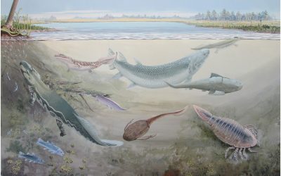 A evolução da homeostase cardiovascular e hidroeletrolítica: bases fisiológicas, moleculares e evolutivas do sistema renina-angiotensina-aldosterona