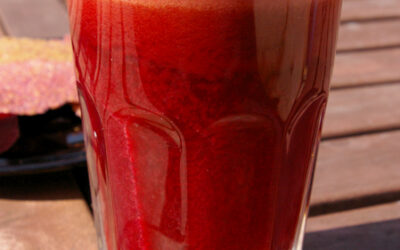 Nitrato Dietético, Óxido Nítrico e Bioenergética do Endurance: Mecanismos Moleculares, Eficiência Mitocondrial, Hemodinâmica Integrativa e Relevância Cardiometabólica