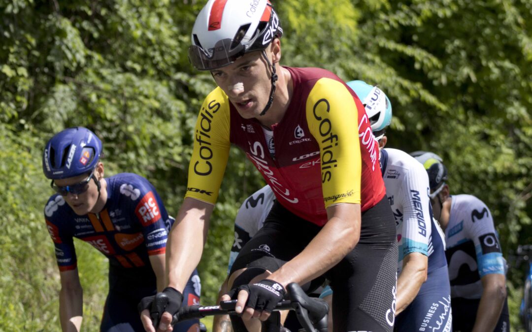 Proteínas Desacopladoras Mitocondriais (UCPs), Potencial de Membrana e Mitohormese no Músculo Treinado: Integração Bioenergética, Redox e Perspectiva Evolutiva