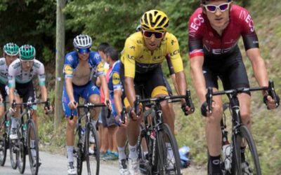 Angiogênese, Plasticidade Mitocondrial e Metabolismo da Glicose no Músculo Esquelético: Integração Microvascular, Sensibilidade Insulínica e Fotobiomodulação na Performance de Endurance