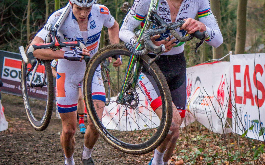 CREATINA, BIOENERGÉTICA CELULAR E ENDURANCE: IMPLICAÇÕES EVOLUTIVAS, MECANÍSTICAS E TERAPÊUTICAS NA INDISPONIBILIDADE DE ATP