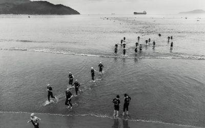 Produção, Leitura Crítica e Construção do Conhecimento nas Ciências Biológicas: Metodologia, Viés e Responsabilidade Epistemológica
