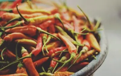 TRPV1, Capsaicina e Plasticidade Metabólica no Endurance: Bases Evolutivas, Mecanismos Moleculares e Implicações Ergogênicas