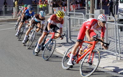 HOMEOSTASE MICROVASCULAR HUMANA: INTEGRAÇÃO MOLECULAR ENTRE ÓXIDO NÍTRICO, PROSTANOIDES, EETs/EDHF, MECANOTRANSDUÇÃO E NEUROCONTROLE NA FISIOLOGIA, NO EXERCÍCIO E NA AVALIAÇÃO CLÍNICA NÃO INVASIVA