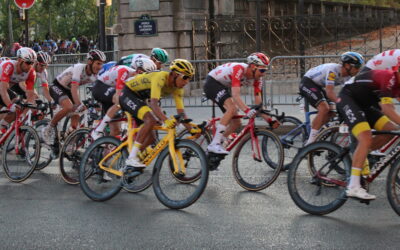 Heterogeneidade Intralateral da Saturação de Oxigênio Muscular (SmO₂) em Membros Inferiores: Uma Revisão Integrativa da Fisiologia Microvascular Aplicada ao Exercício