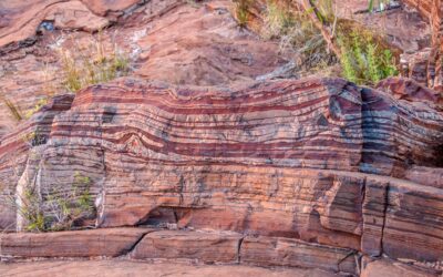 Homeostase do Ferro, Hepcidina e Ferritina no Desempenho de Atletas de Endurance: Bases Moleculares, Fisiológicas e Implicações para a Performance Aeróbia