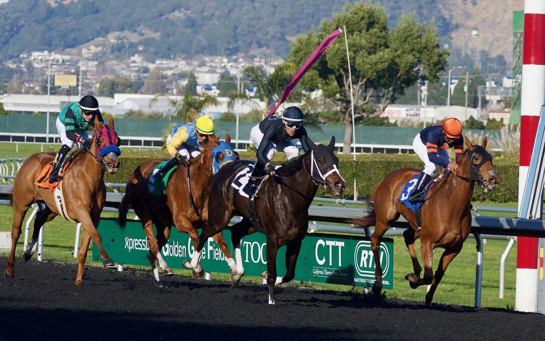 Remodelamento Eletrofisiológico Intrínseco do Nodo Atrioventricular Induzido pelo Treinamento de Endurance
