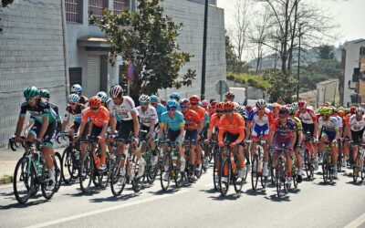 Dinâmica Mitocondrial, Sinalização Redox e Distribuição de Intensidade no Treinamento de Endurance: Uma Interpretação Bioenergética da Ineficiência Adaptativa da Zona 3