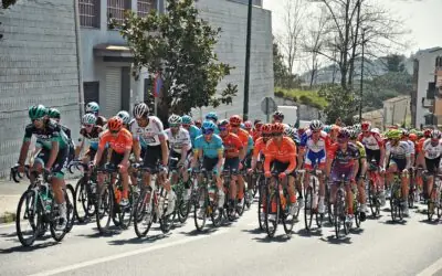 Dinâmica Mitocondrial, Sinalização Redox e Distribuição de Intensidade no Treinamento de Endurance: Uma Interpretação Bioenergética da Ineficiência Adaptativa da Zona 3