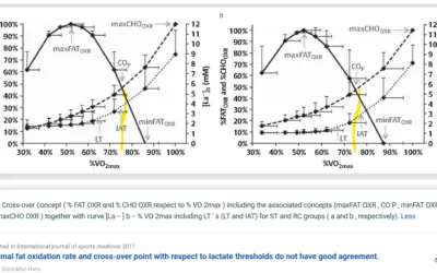 Bases Bioenergéticas das Zonas de Treinamento: Objetivos Biológicos e Adaptações Celulares do Exercício de Endurance