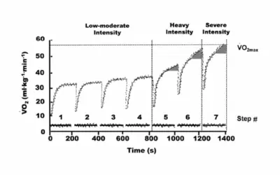 FISIOLOGIA VENTILATÓRIA E ERGOESPIROMETRIA